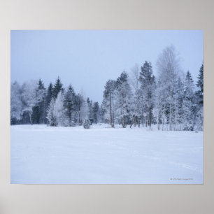 Affiches Paysage froid 8 d'hiver de Milou