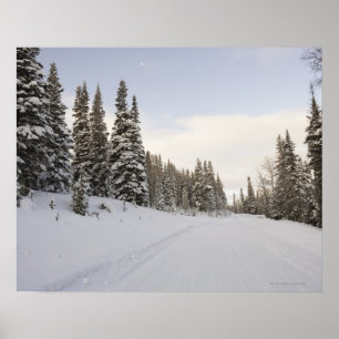 Affiches paysage Neige-couvert