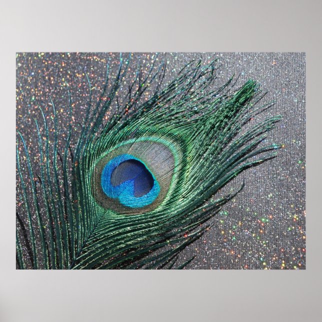 Affiches Peacock noir brillant plume encore vie (Devant)