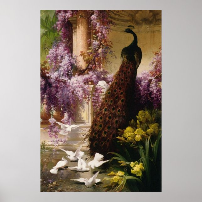 Affiches Peacock vintage (Devant)