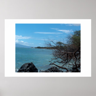 Affiches Pêche à Hawaï