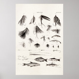 Affiches Pêche vintage 1800s Pêche Volée Mouches Lures Lure