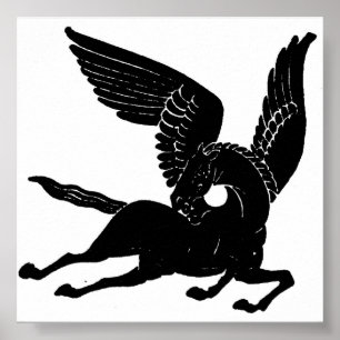 Affiches Pegasus