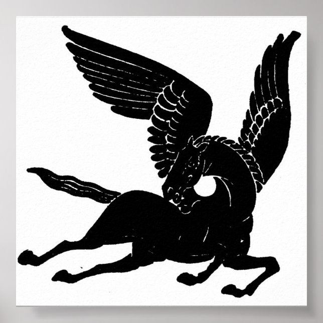 Affiches Pegasus (Devant)