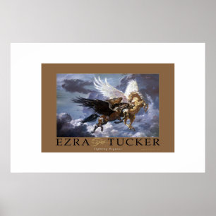 Affiches Pegasus de combat