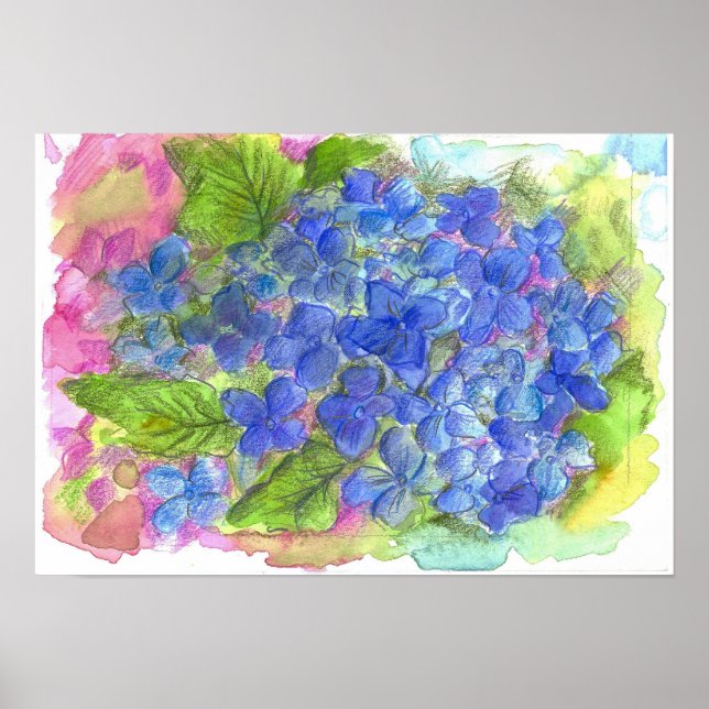 Affiches Peinture à l'aquarelle bleu Hydrangea (Devant)