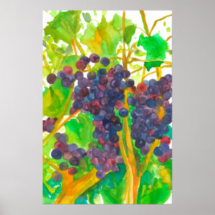 Affiches Peinture aquarelle de raisins de vin