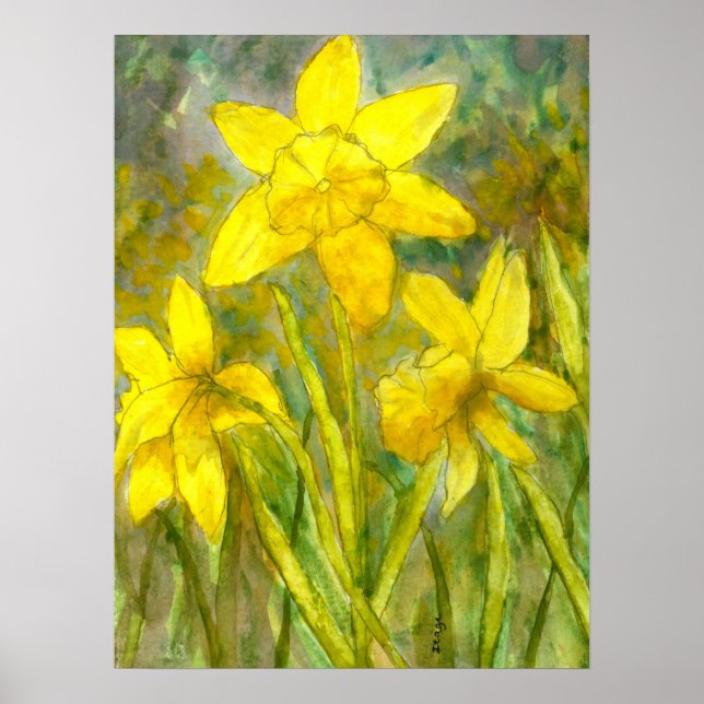 Affiches Peinture aquarelle, Fleurs Jaunes, Daffodiles (Devant)
