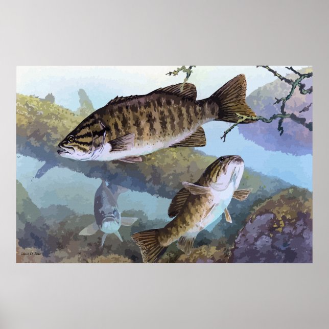 Affiches Peinture basse de Smallmouth (Devant)