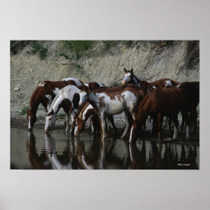 Affiches Peinture Chevaux Boire