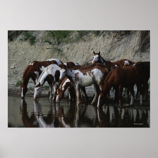 Affiches Peinture Chevaux Boire (Devant)