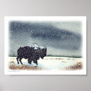 Affiches Peinture de bison à la neige