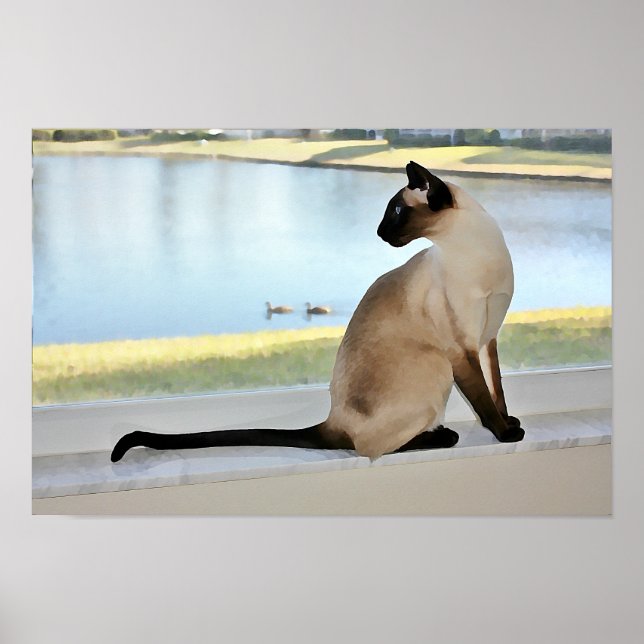 Affiches Peinture de chats de Siamese paisible (Devant)