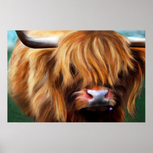 Affiches Peinture de la vache des Highlands