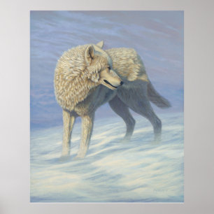 Affiches Peinture de loup blanc -