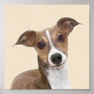 Affiches Peinture italienne Greyhound - Cute Original Chien