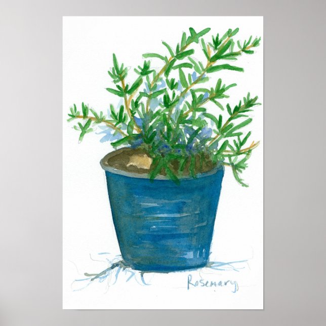 Affiches Peinture Plante d'aquarelle Rosemary (Devant)