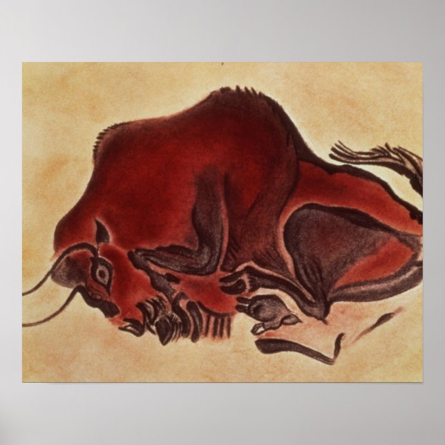 Affiches Peinture rocheuse d'un bison, fin de la Magdalénie (Devant)
