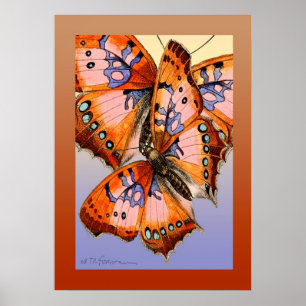 Affiches Peinture rouge d'abrégé sur bleu de papillons
