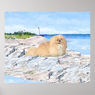 Affiches Pékinois au phare