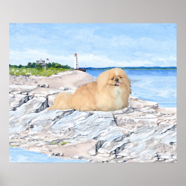 Affiches Pékinois au phare (Devant)