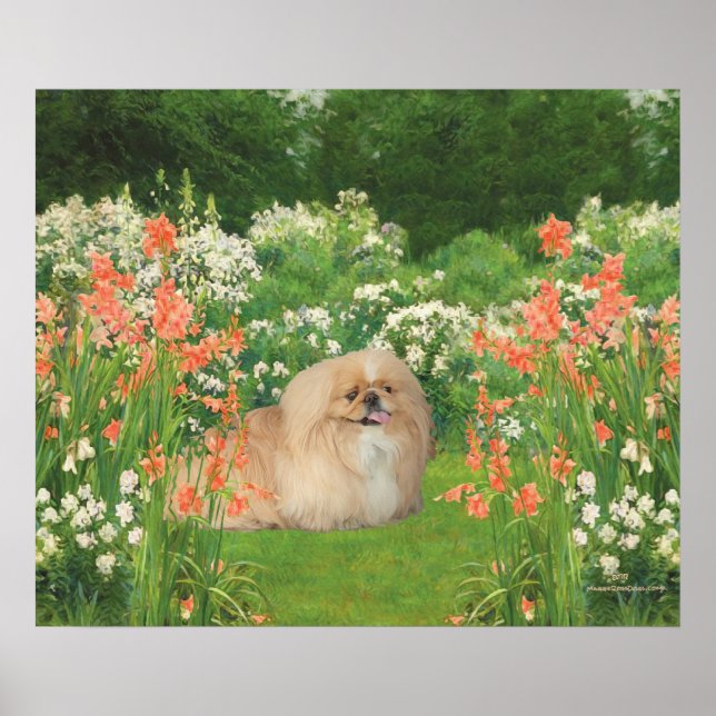 Affiches Pékinois dans un jardin (Devant)