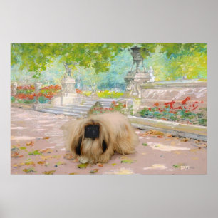 Affiches Pékinois miel dans un cadre floral