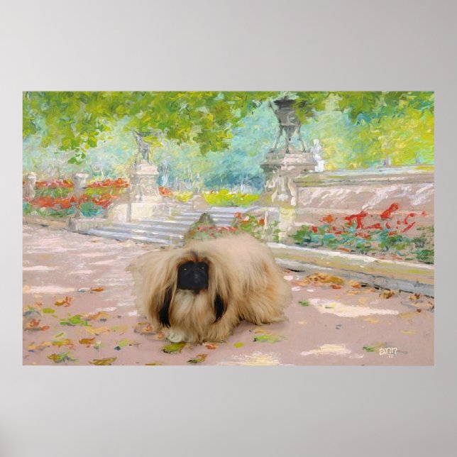 Affiches Pékinois miel dans un cadre floral (Devant)