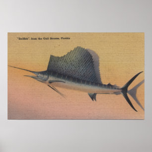 Affiches Pélerin de Gulf Stream, FloridaFlorida