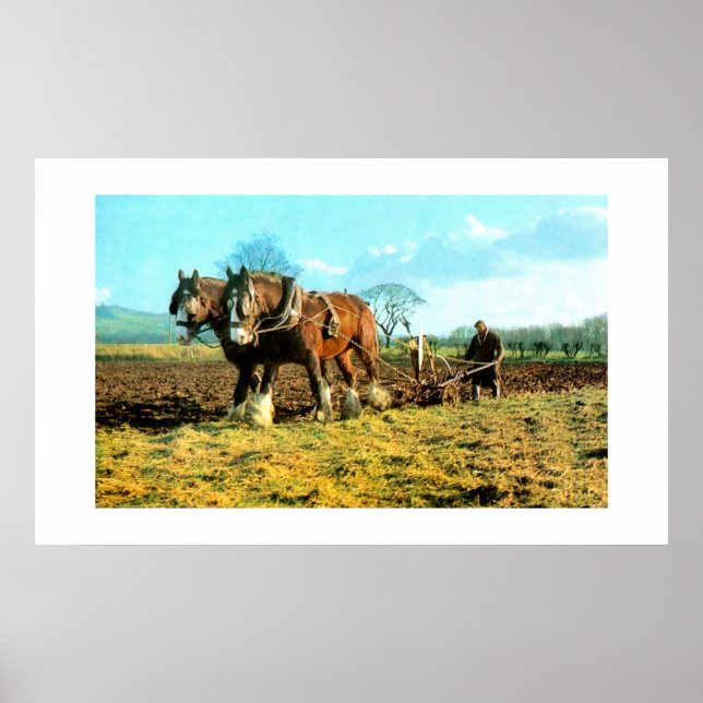 Affiches Pellage (Devant)