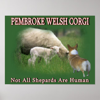 AFFICHES PEMBROKE WELSH CORGI