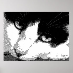 Affiches Pen and Ink Cat