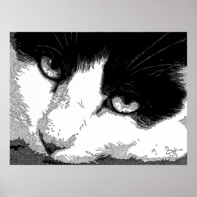Affiches Pen and Ink Cat (Devant)