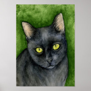 Affiches Pénélope - la copie chanceuse de chat noir