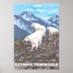 Affiches Péninsule olympique, chèvres de WashingtonMountain