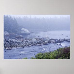 Affiches Pennant Fog