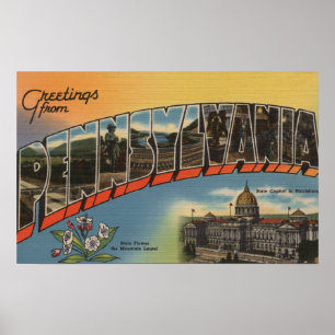 Affiches Pennsylvanie (Capitale nationale/Fleur) 2