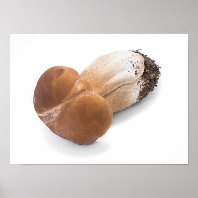 Affiches Penny bun (Devant)