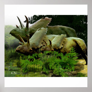 Affiches Pentaceratops from New Mexico