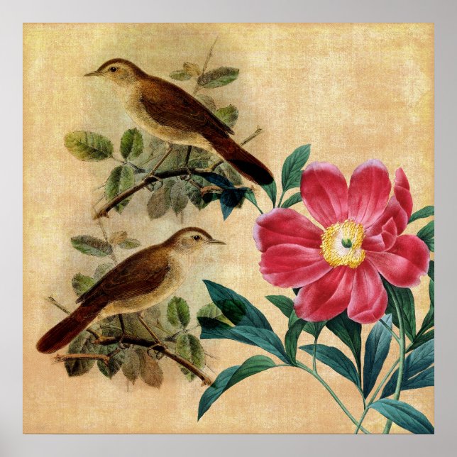 Affiches Peony avec Nightingales (Devant)
