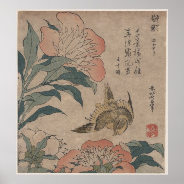 Affiches Peony et Canary par Katsushika Hokusai (Devant)