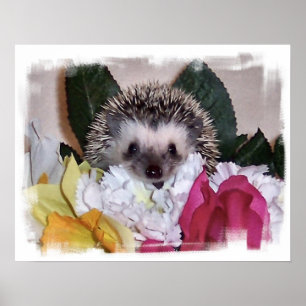 Affiches Pepperpot the Hedgehog