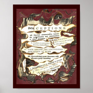 Affiches Perceptions
