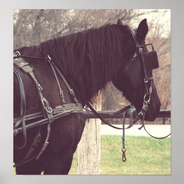 Affiches Percheron, Faux Vintage (Devant)