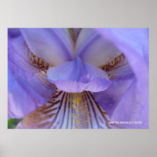 Affiches Perdu dans un rêve