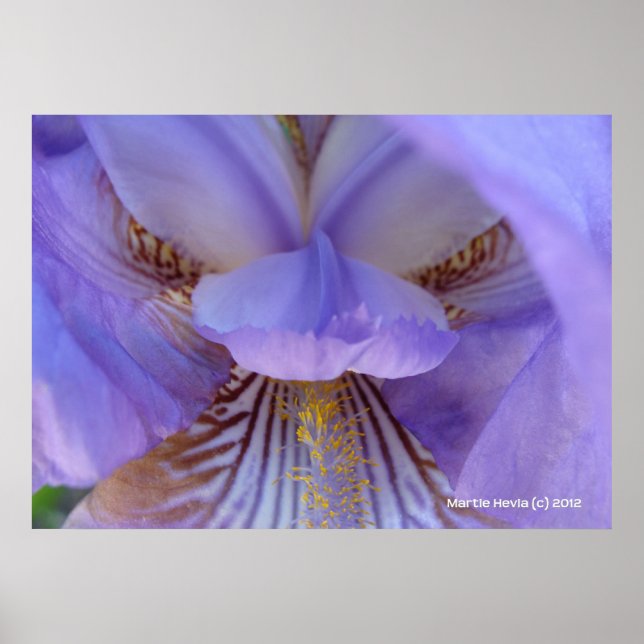 Affiches Perdu dans un rêve (Devant)