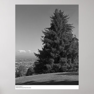 Affiches Père Noël Cruz du campus, avril 1967