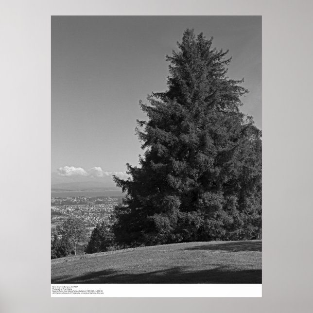 Affiches Père Noël Cruz du campus, avril 1967 (Devant)