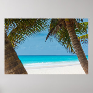 Affiches Perfect Tropical Paradise Beach