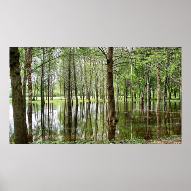 Affiches Perrin Park (Devant)